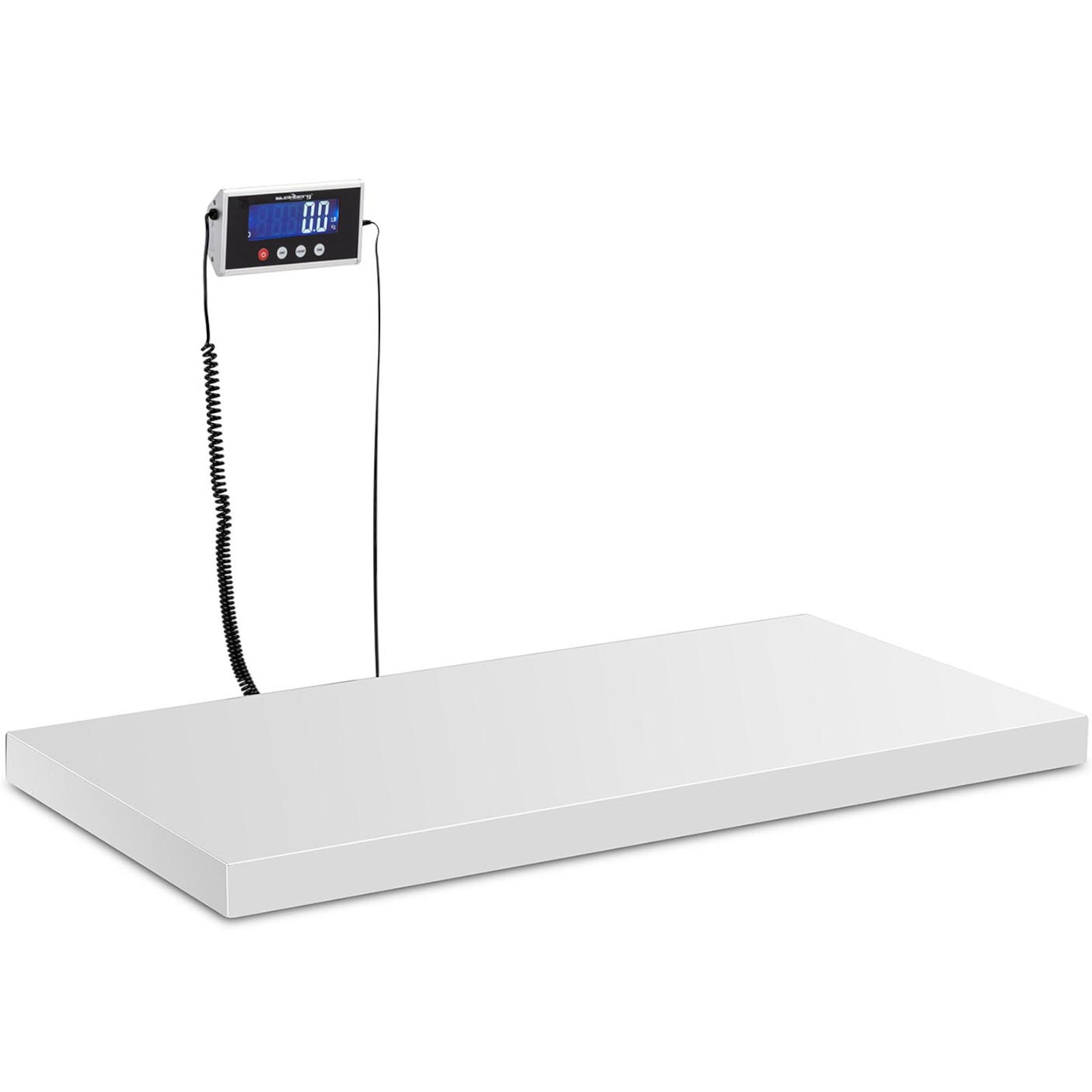 Storage platform scale Steinberg Systems 500 kg 100 g LCD steel 1000x50 Brand Steinberg Systems