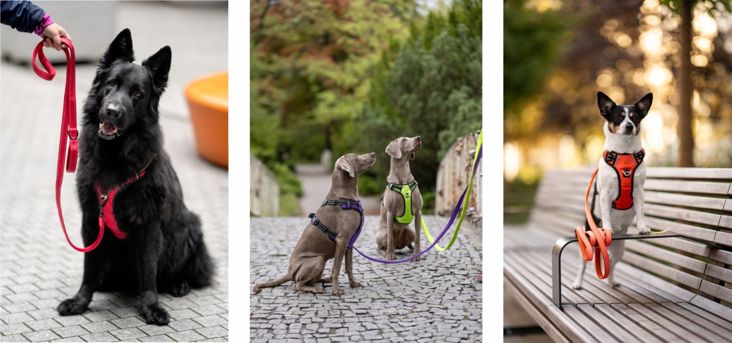 Sturdy leash for small dog pink 2m strong HUGGY DOGGY traditional york S Manufacturer code Smycze dla psów HUGGY DOGGY mocna odblaskowa