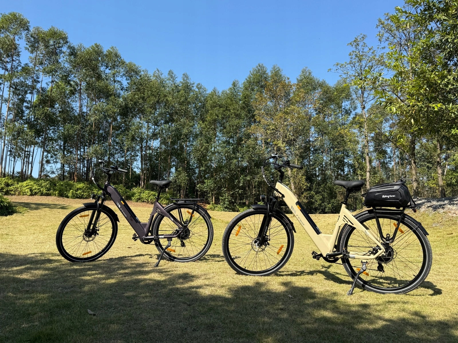 Stylish Electric Bikes TTGO C3 SE 250W 18Ah 25KM/H 120KM 52Nm 28"*2.0" Foldability partially assembled, calibrated