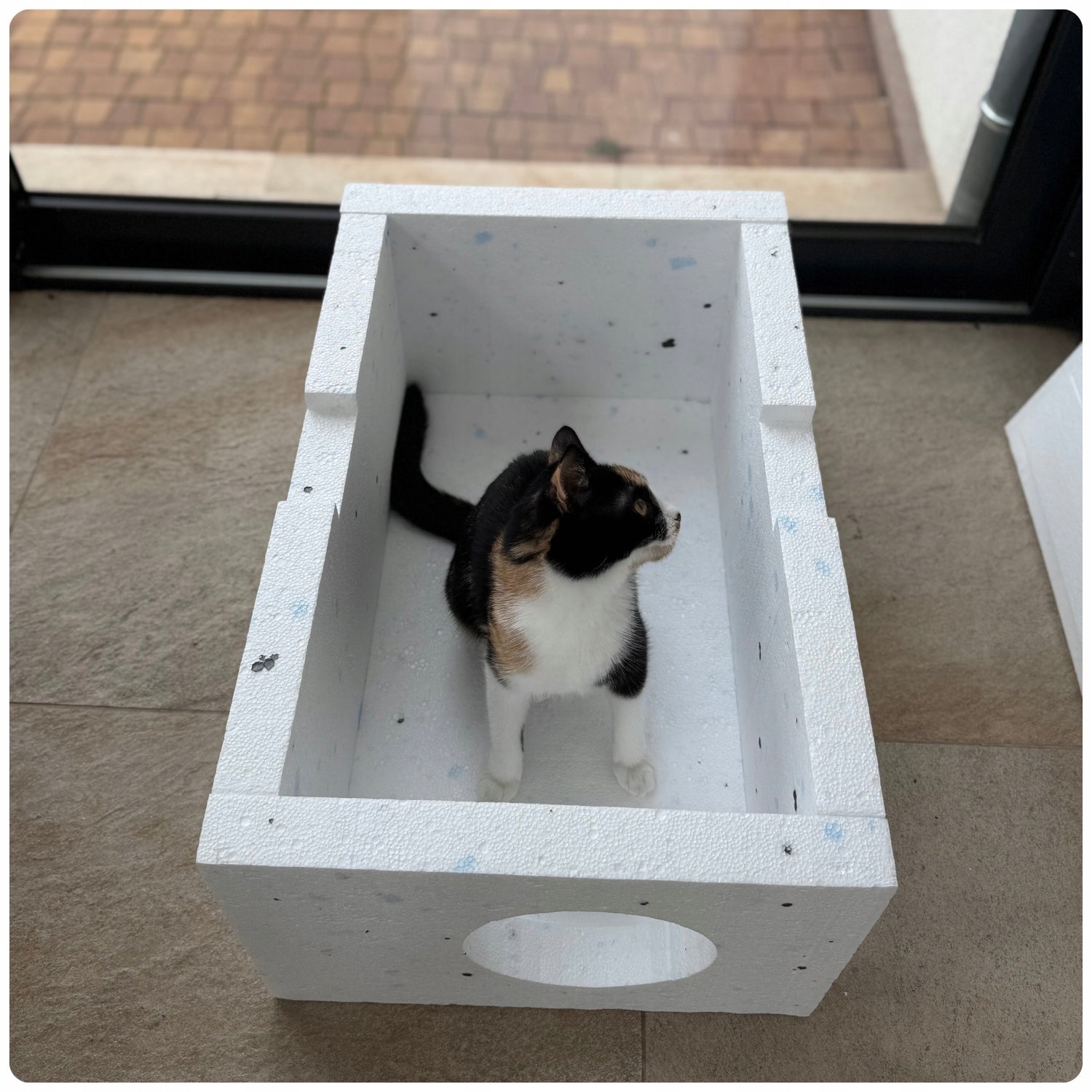Styrofoam CAT booth COTTAGE WARM box 59 x 39 x 30 cm outside Kind cat house