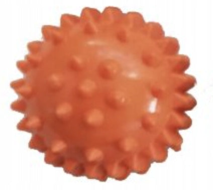 Su Jok orange massage chestnut Brand TCM Poland