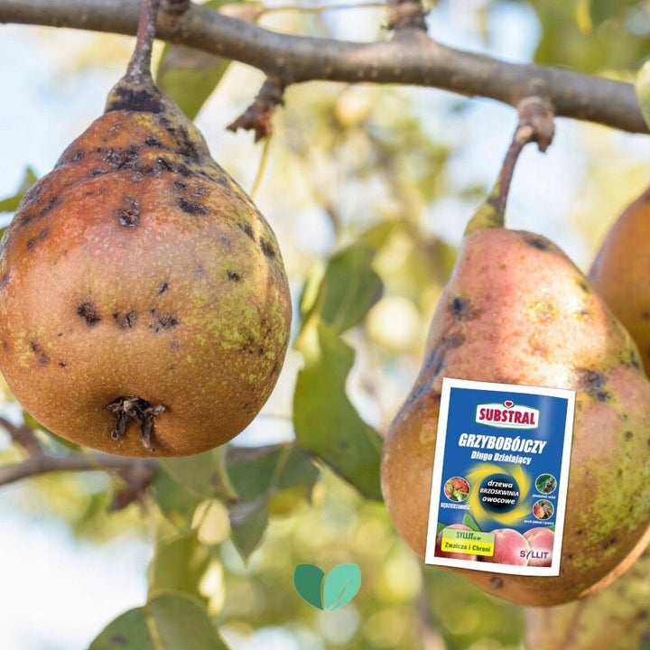 Substral Syllit 65WP Fungicide Fights and Protects 45 g Manufacturer code 5906992573018