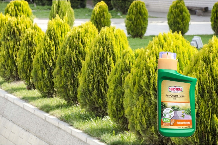 Substral Weed agent Anti-weed Total Ultra 1L concentrate for 22 liters Packaging status original