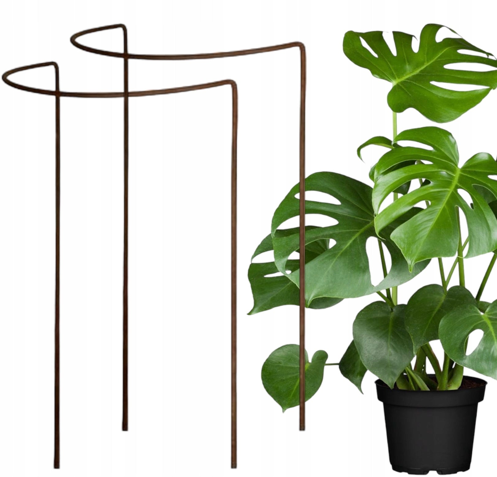 Support for plant flower bushes pergola H 90cm supports PERGOLA solid