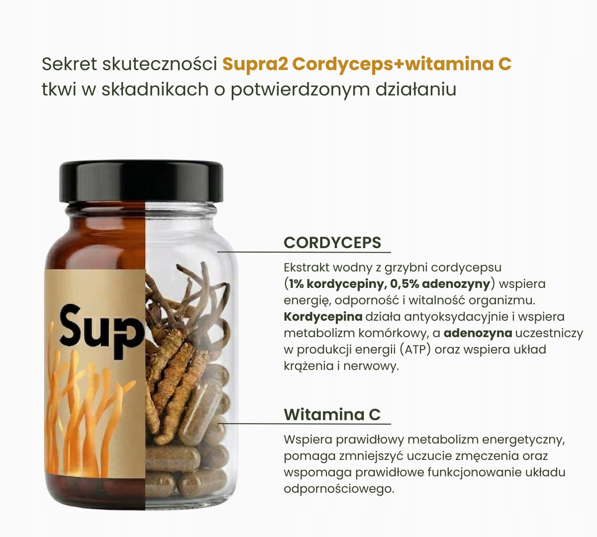 Supra2 Cordyceps and Vitamin C 60 capsules Dietary supplement cordyceps energy Packaging status original