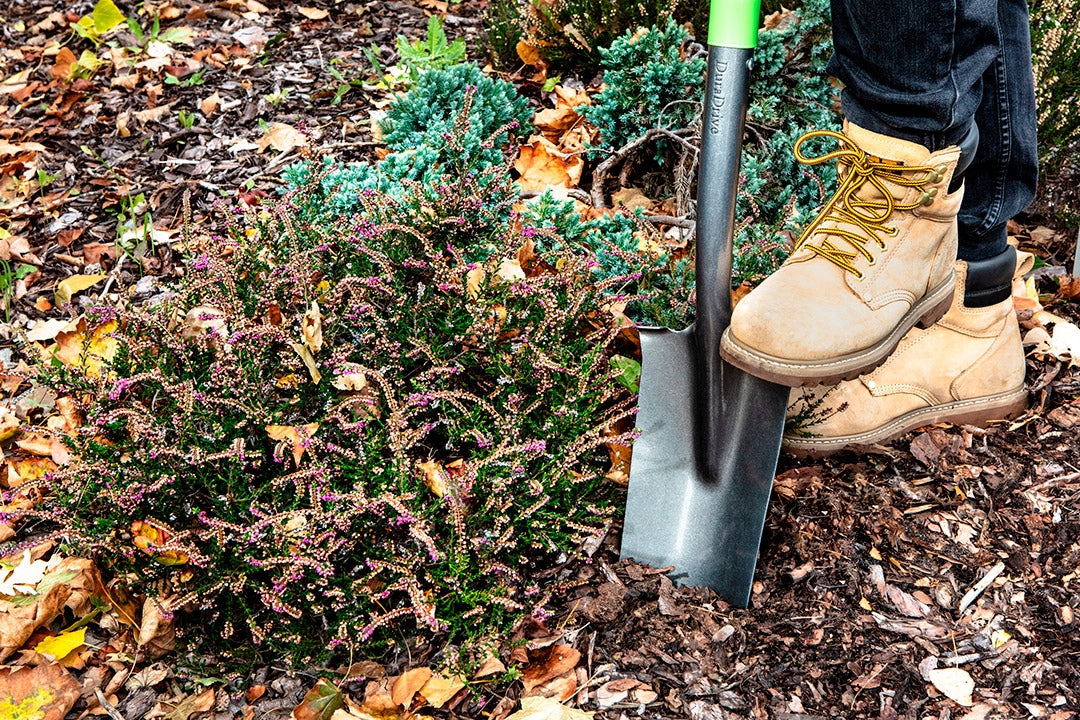 Kastuvas Verto 15G014