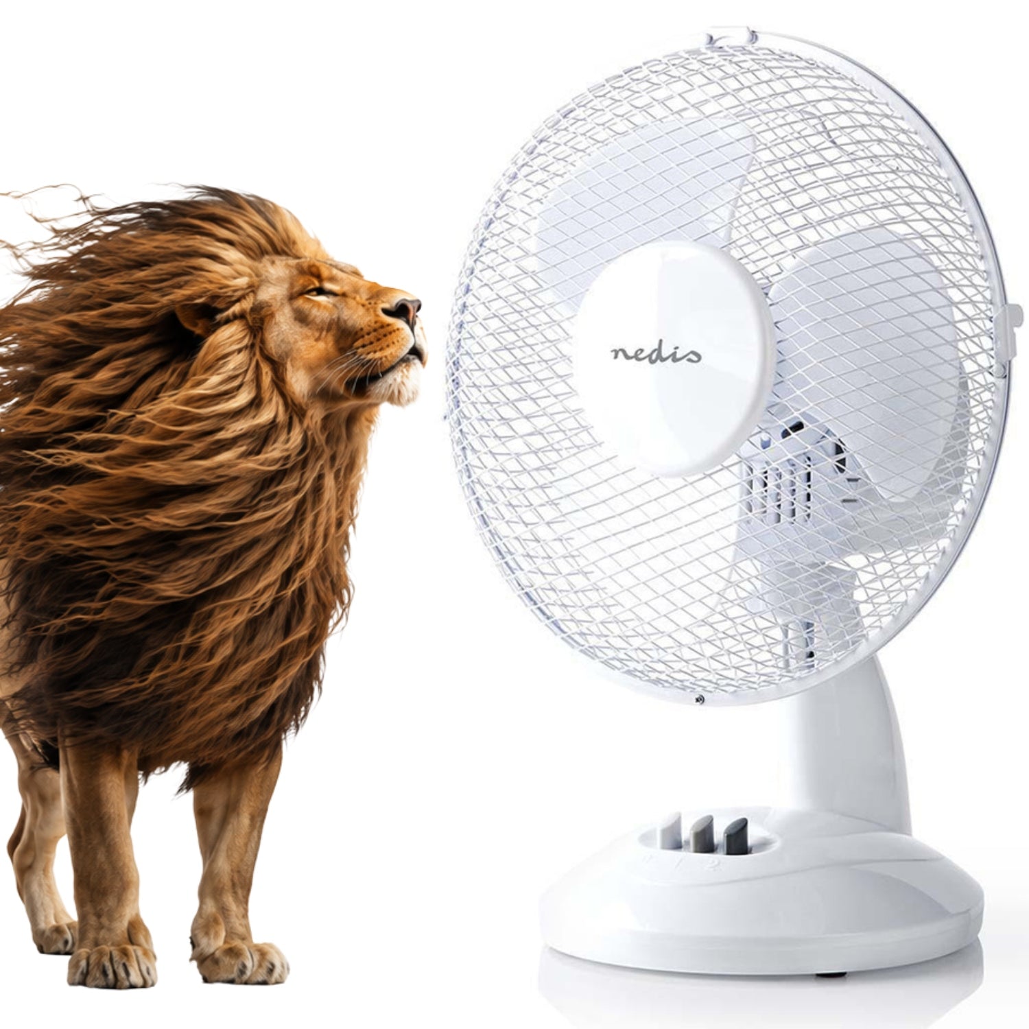 TABLE FAN OFFICE FAN ADJUSTABLE QUIET OSCILLATING WHITE