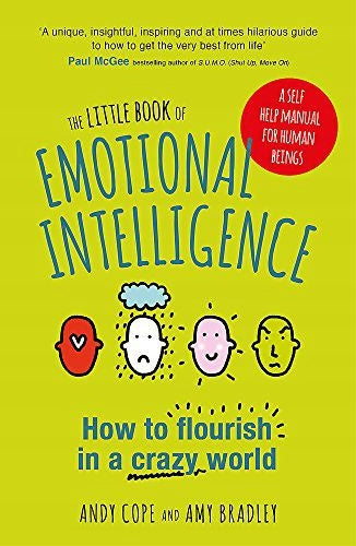 Little Book of Emotional Intelligence: How to Flourish in a Crazy World