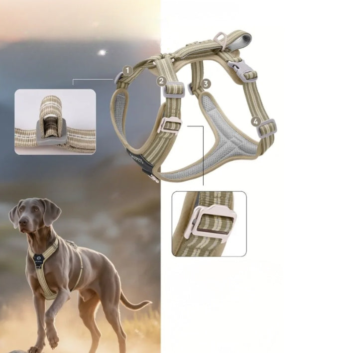 TIBET guard dog harness without putting a strong BLACK M over the head Brand Lalazoo