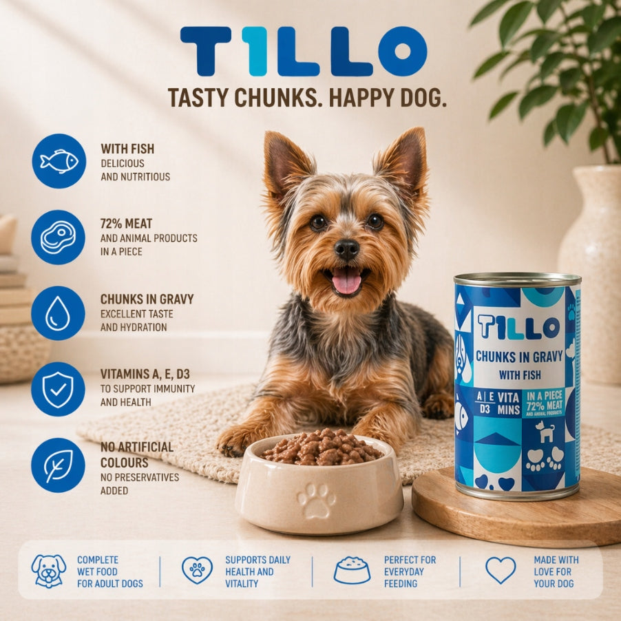 TILLO Chunky Wet Dog Food Fish Can 415g Pieces in Sauce Trade name other