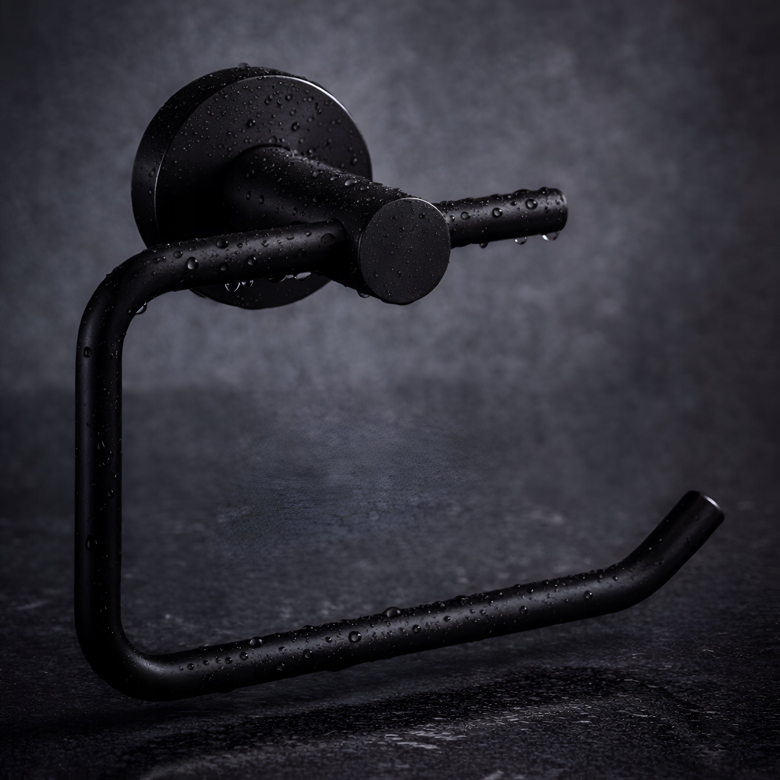 TOILET PAPER HOLDER BATHROOM HANGER METAL DELVANT ESVAN BLACK Packaging status original