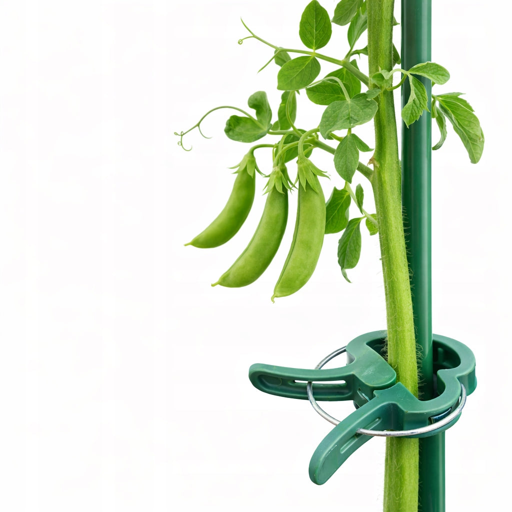 TOMATO CLIPS 120 PIECES CLASPS HANDLE BEAN STEM CLIP SHOOTS Brand Allbag