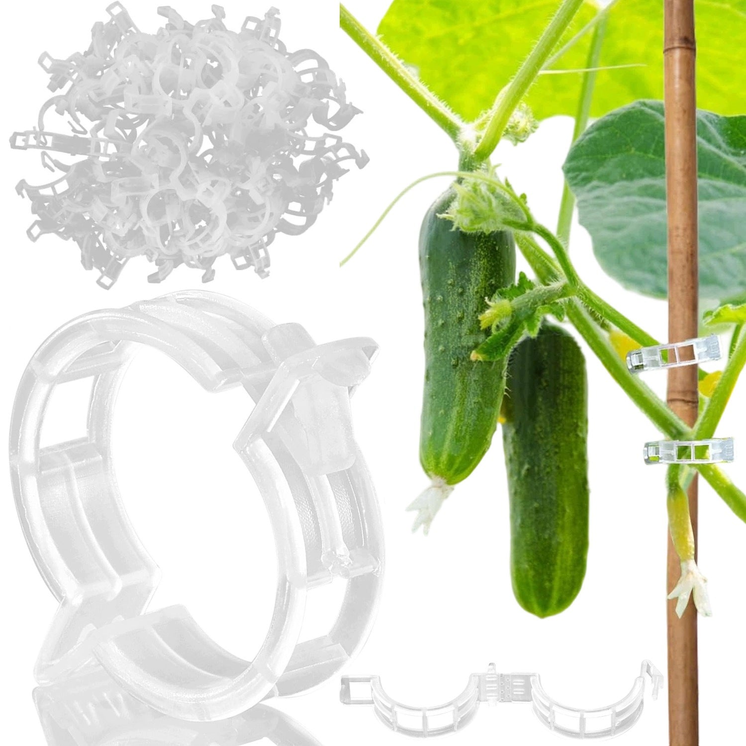 TOMATO CLIPS 300 PIECES CLASPS HOLDER CLIP FOR SHOOT BEAN STEMS