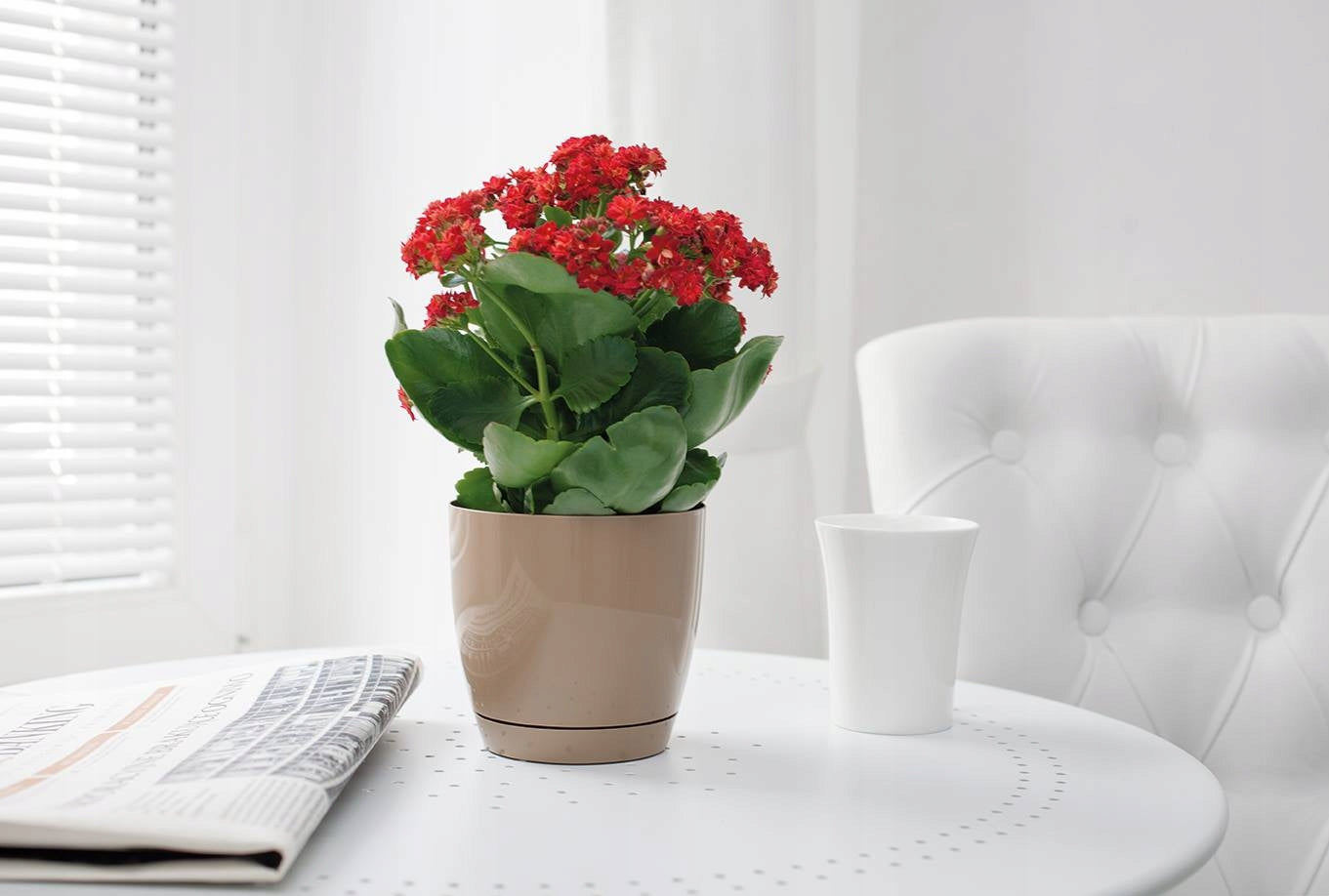TOSCANA FLOWER POT WITH STAND, diameter. 15CM GLOSS WHITE Form-plastic Brand Form-Plastic