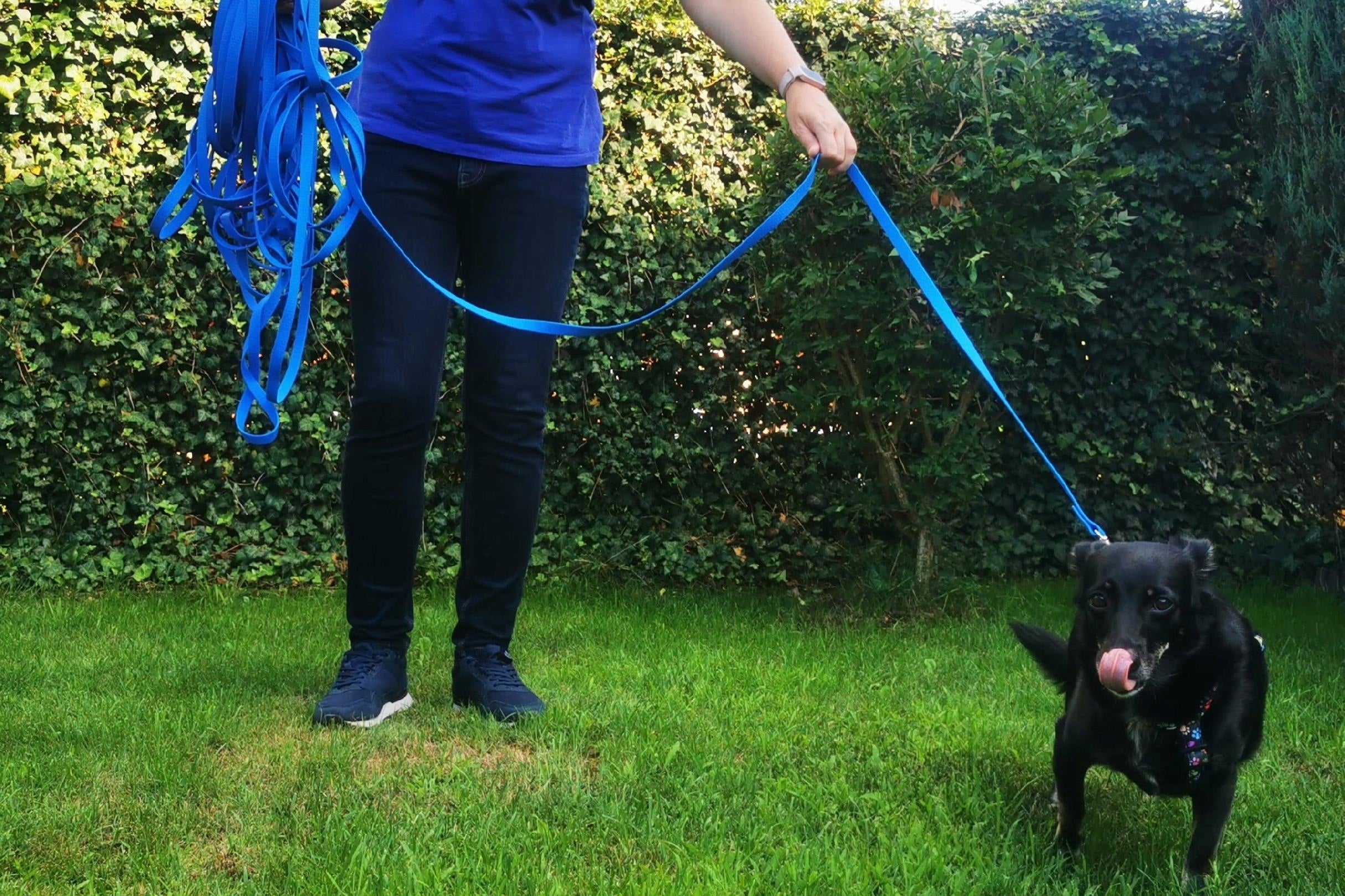 TRAINING LEASH WATERPROOF PVC BIOTHANE NELSON-X 5 M/1,5 CM STD STRONG Maximum leash length 5 m