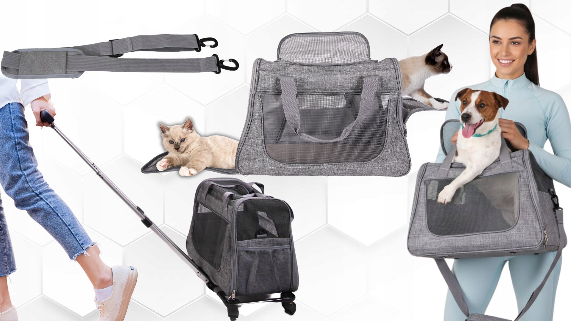 TRANSPORT BAG TROLLEY ON WHEELS DOG CAT ANIMALS TRANSPORTER FOLDING Product height 43 cm