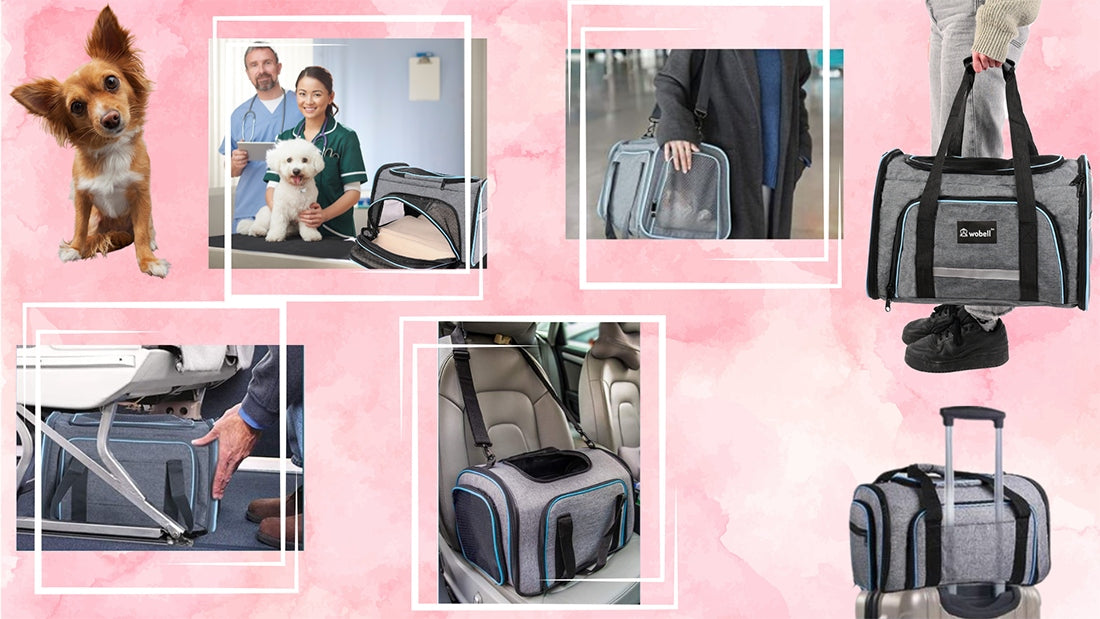 TRANSPORTER CAT DOG FOLDING BAG LARGE PADDED HOLES LIGHT LARGE XL Kind carrier