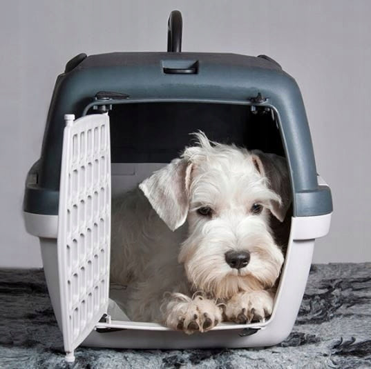TRANSPORTER LARGE playpen cage cottage box GULLIVER 2 for DOG RABBIT CAT Product height 35 cm