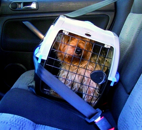 TRANSPORTER PET INN COSMOS MEDIUM 58.5/38/38.5 Kind carrier