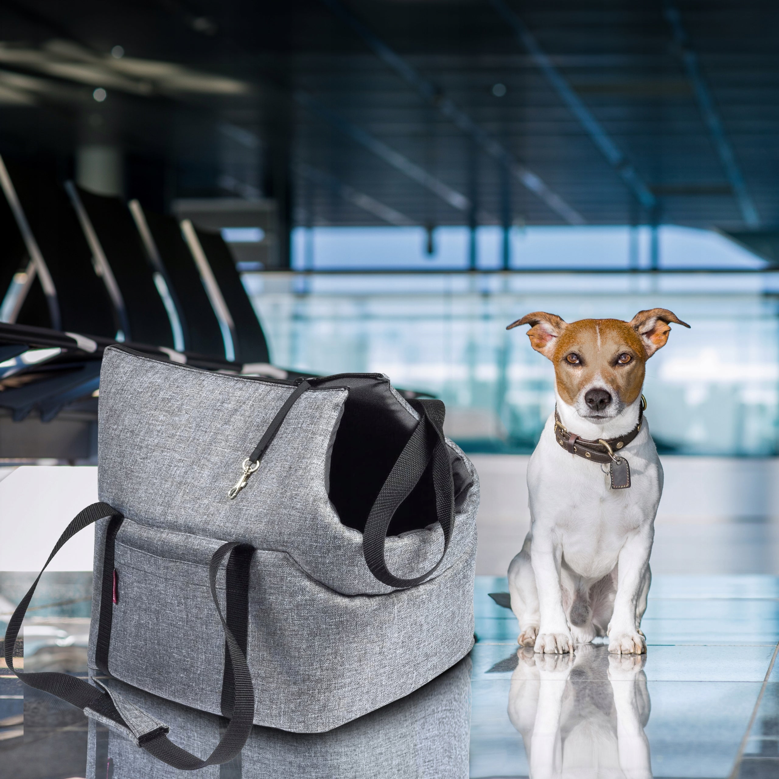 TRANSPORTER Travel bag for Dog Cat Carrier S Manufacturer code BTQZ-CARRIER-GRAY-001