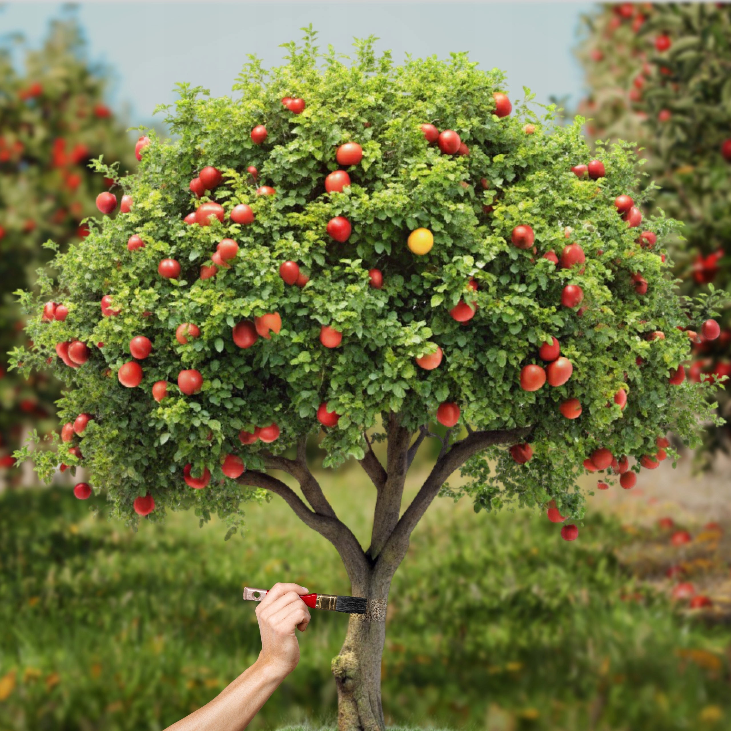 TREE PROTECTION ANTI-BITING AGENT DEER DETERRENT Product weight with unit packaging 1 kg