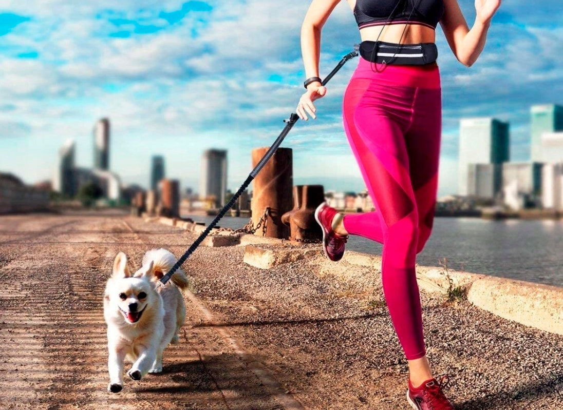 TREKKING HIP BELT, BAG FOR RUNNING WITH A DOG, LEASH WITH SHOCK ABSORBER Kind for jogging