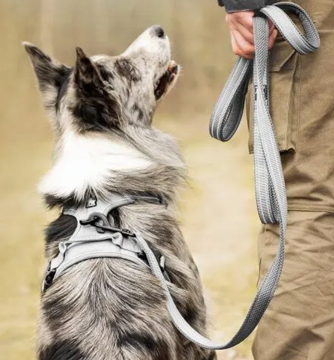 TRUELOVE EASY WALK DOG HARNESS STRONG DURABLE REFLECTIVE GREY M Type harness with handle