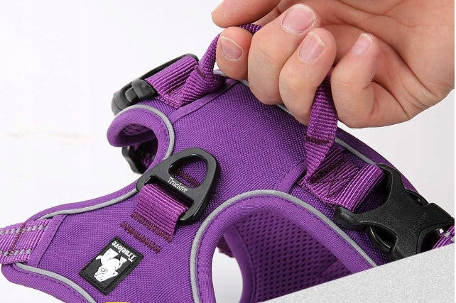 TRUELOVE EASY WALK DOG HARNESS STRONG DURABLE REFLECTIVE PURPLE M Type harness with handle