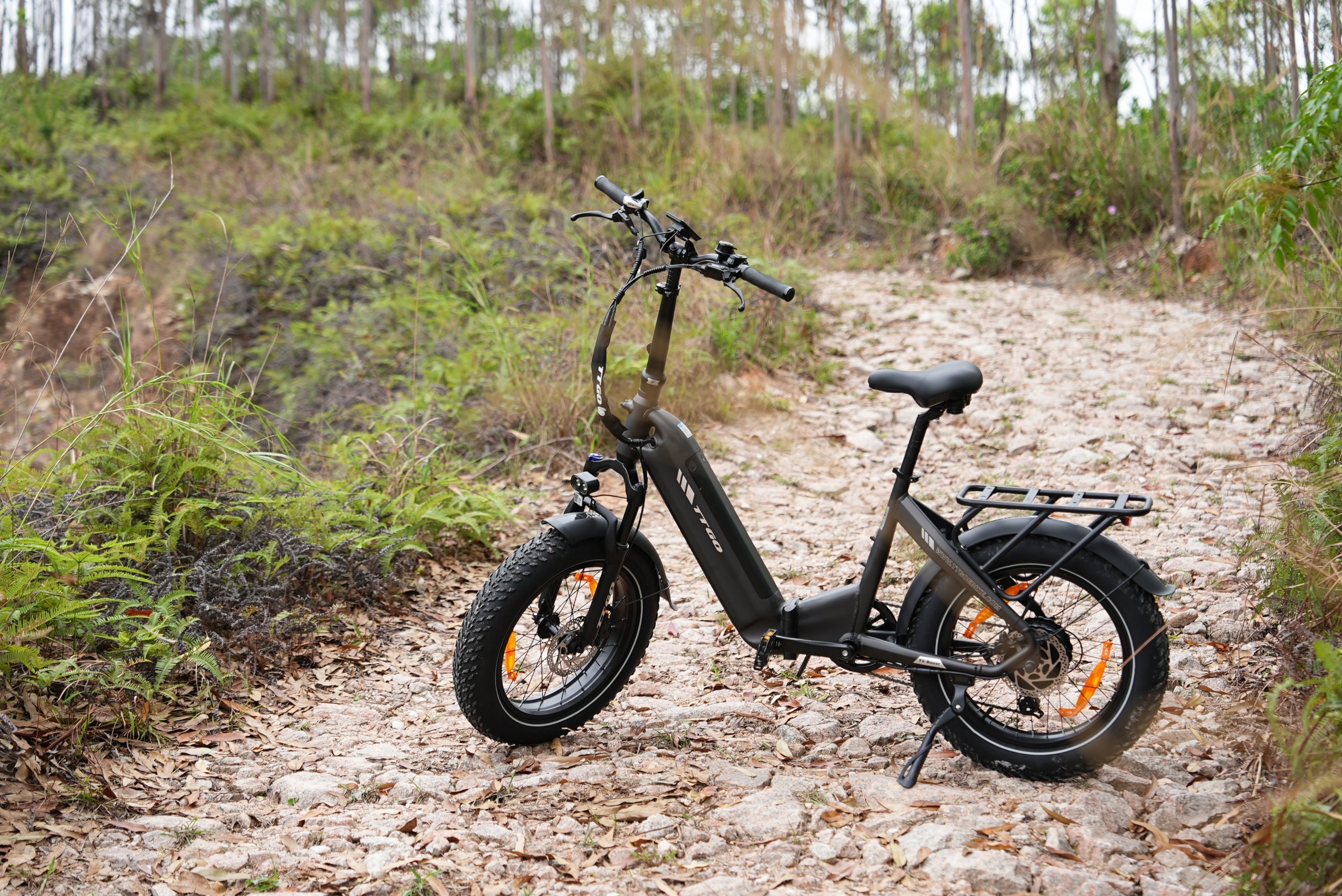 TTGO F6 Boost Electric City Bike 250W 48V18AH 25KM/H 140KM 20" 70NM Folding Manufacturer code TTGO F6 Boost C3 SE Z5 F7 F8 C7 Fiido c11 pro