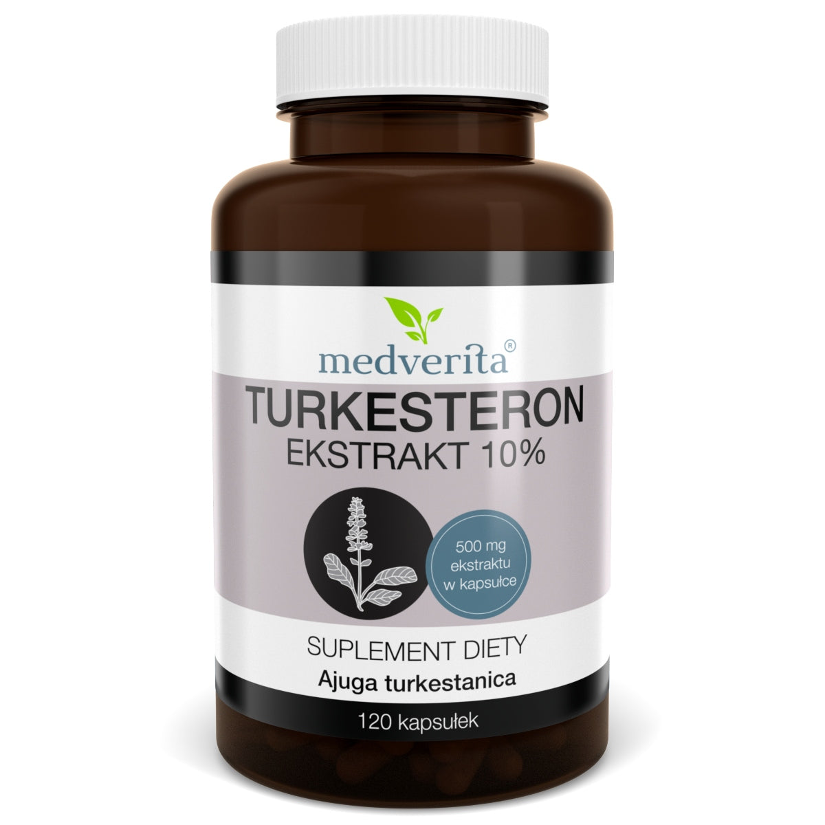 TURKESTERONE extract 500 mg turkesterone - 120 k.