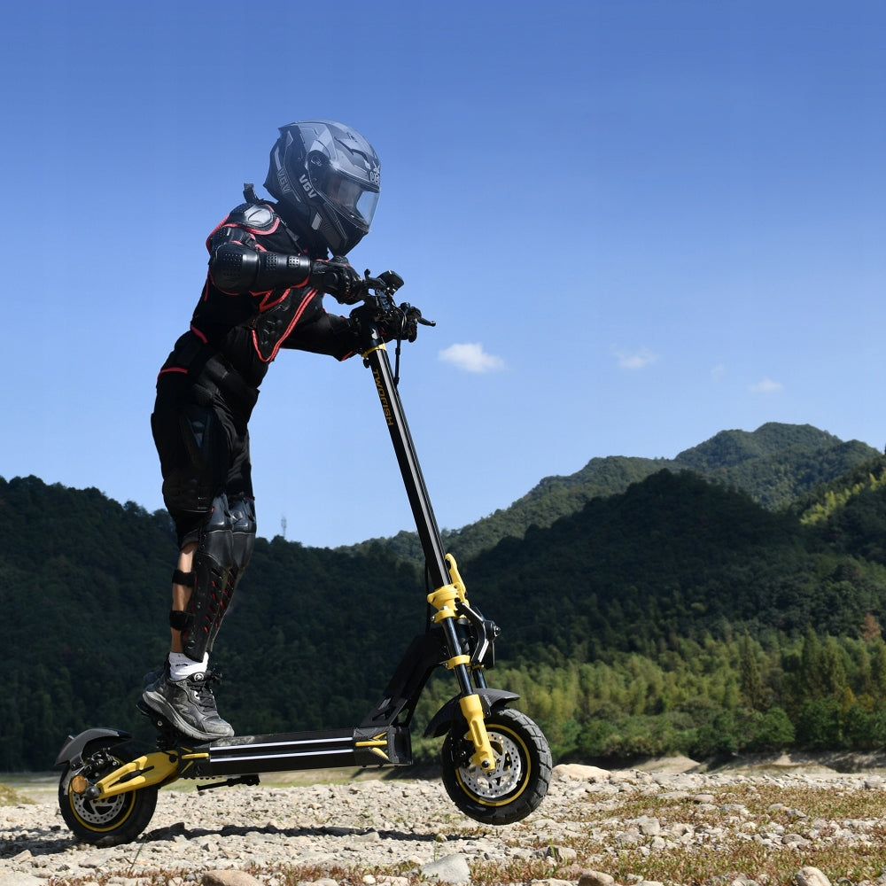 TWOFISH Master Adult Electric Scooter 1640W 48V 20AH 45K 70KM Model 6910179503018