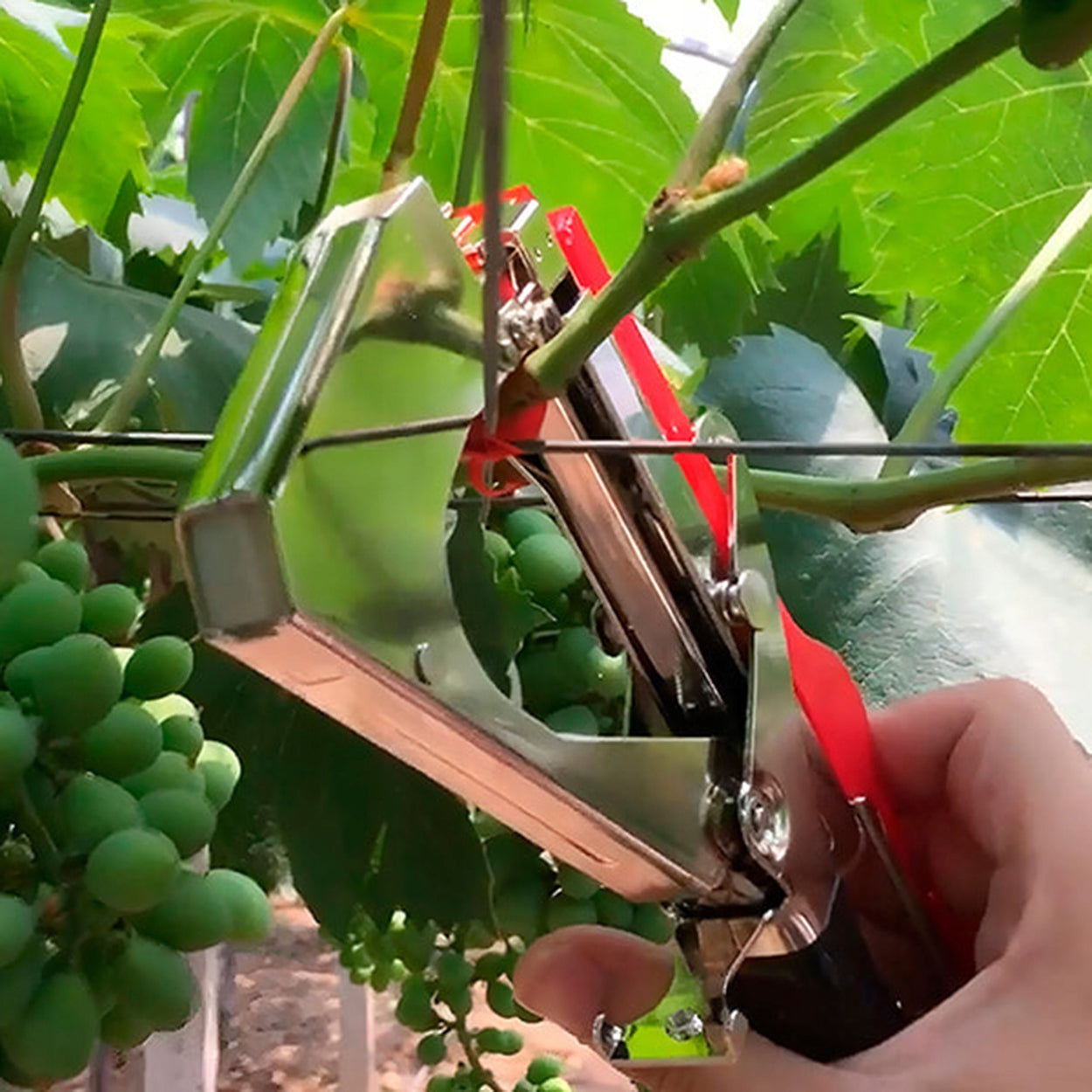 Tapener Garden Stapler Nursery For Plant Binding Hard-er Tape Customs tariff code 82055980