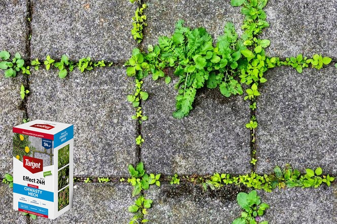 Target for weeds moss effect 24h organic without glyphosate 150ml Manufacturer code PMH048MX