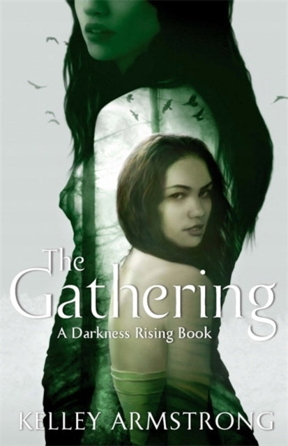 The Gathering: Buch 1 der Darkness Rising-Reihe
