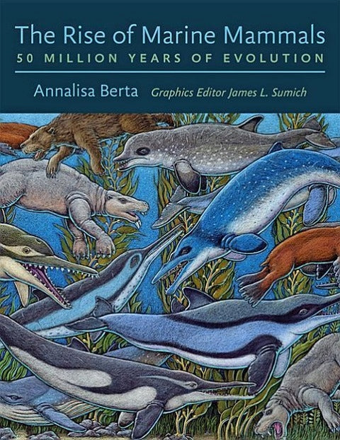Aufstieg der Meeressäugetiere: 50 Millionen Jahre Evolution