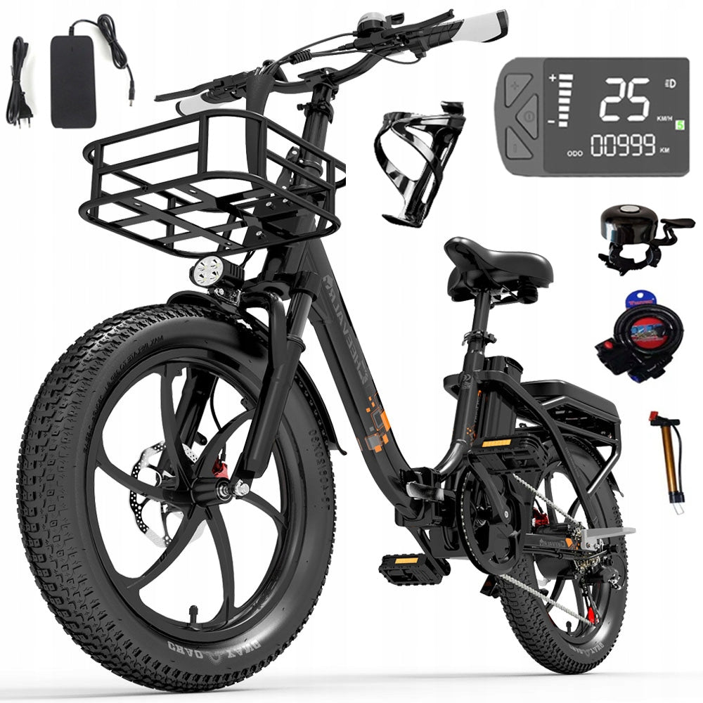 Thick Tyres Electric Bike Cheevalry 250W 48V 20AH 150HP E-bike 20" PL