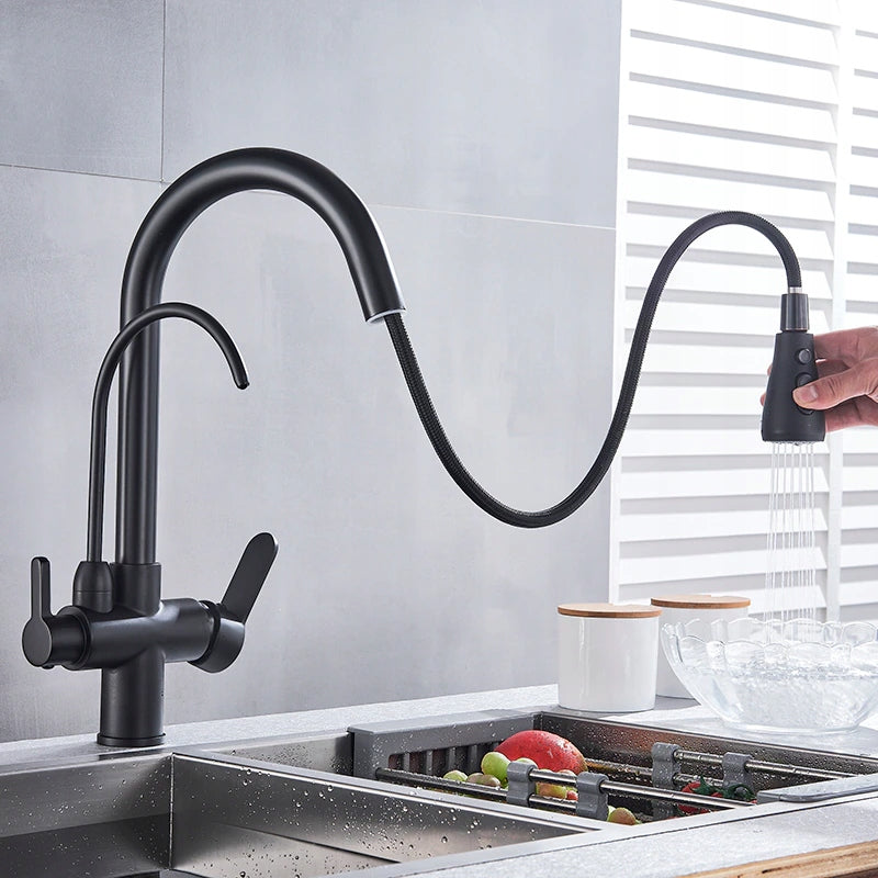 Three-Way Kitchen Faucet BLACK Retro with PULL-OUT SPOUT WW Manufacturer code BKT-1944