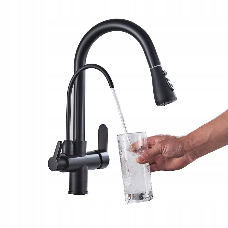 Three-Way Kitchen Faucet BLACK Retro with PULL-OUT SPOUT WW