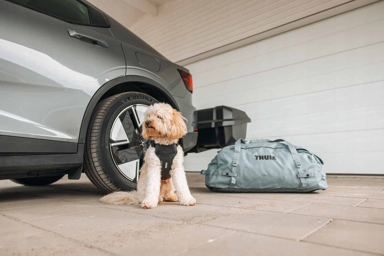 Thule Cappy size S - Harness for Dog Car Color black