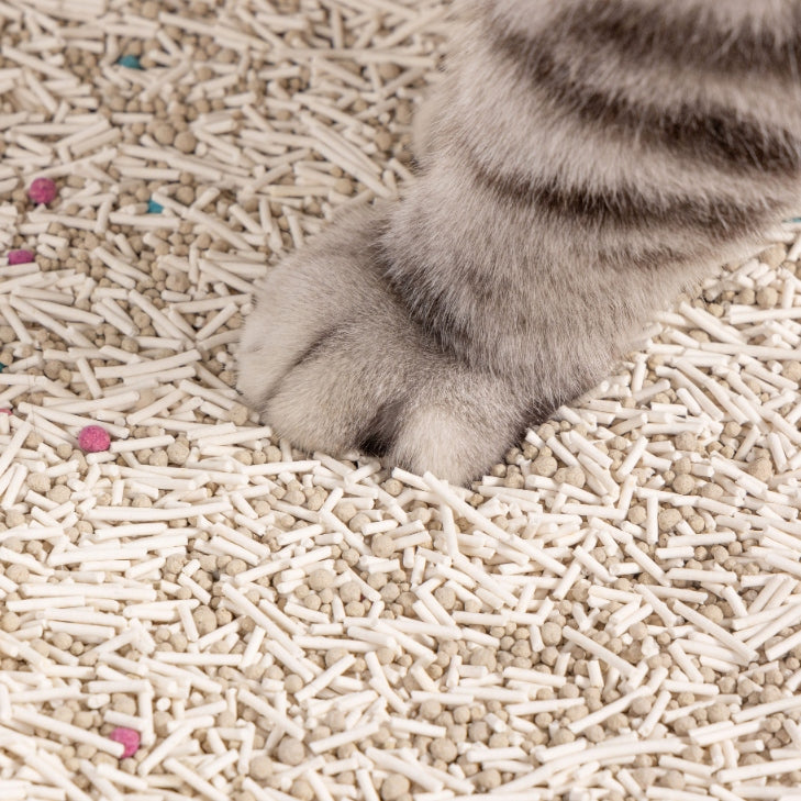 Tofu litter cat litter absorbing clumping odor 2,5kg SNAPPY Product weight 2.5 kg