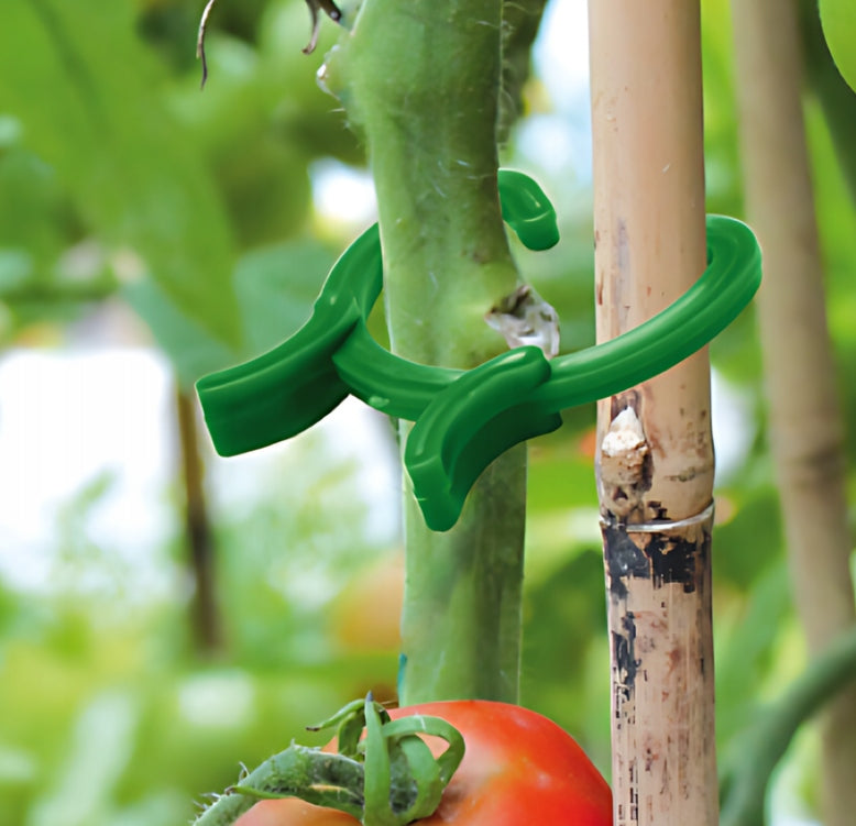 Tomato Clips Plant Fastening Clips 3 Sizes 3x15pcs Bradas Packaging status original