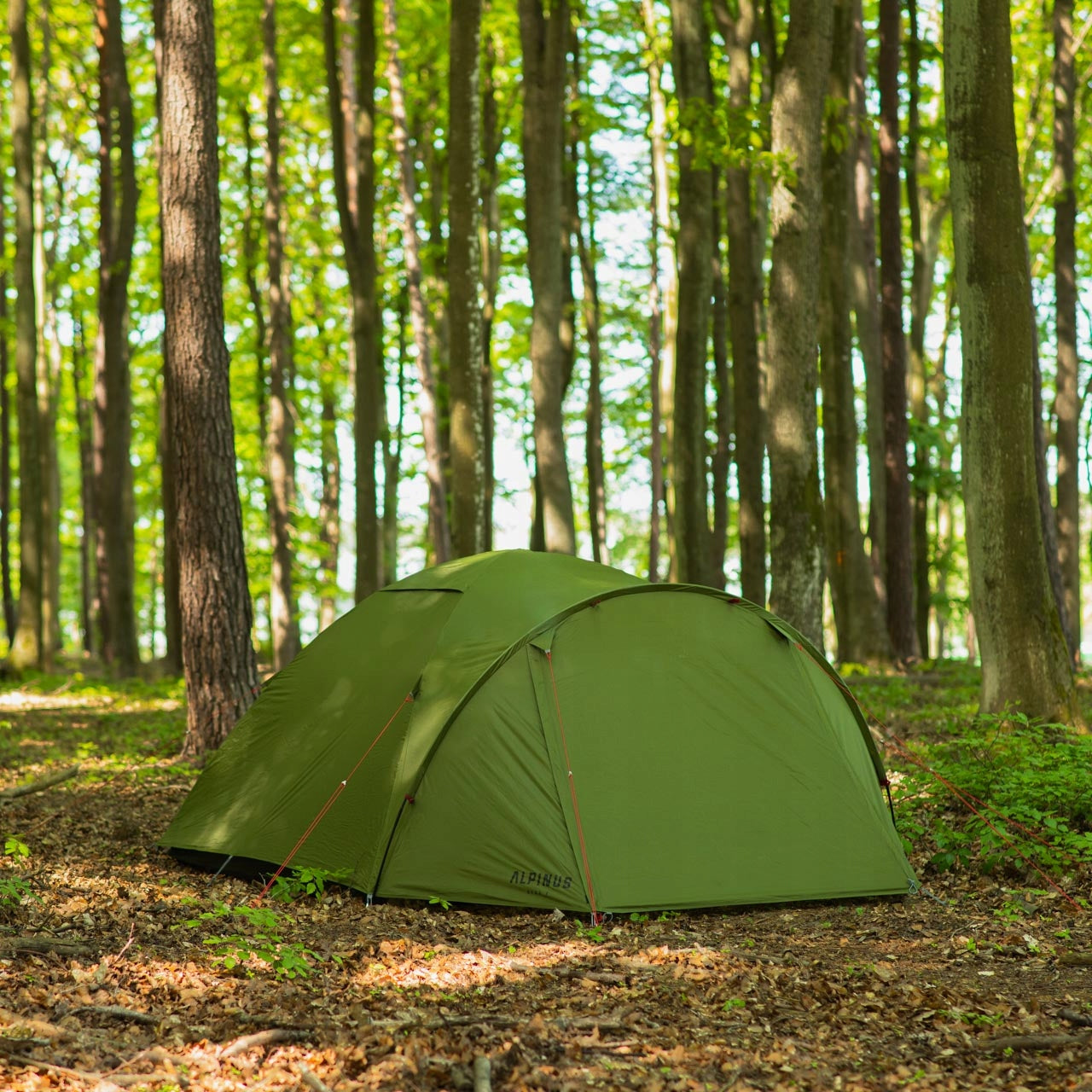 Tourist tent Alpinus Reus 4 green Brand Alpinus