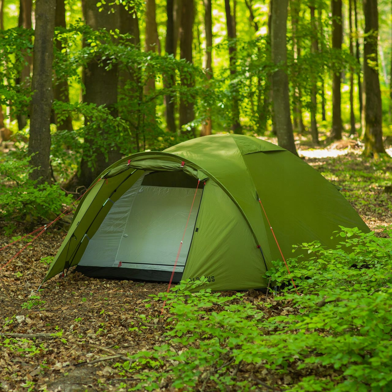 Tourist tent Alpinus Reus 4 green Model REUS 4