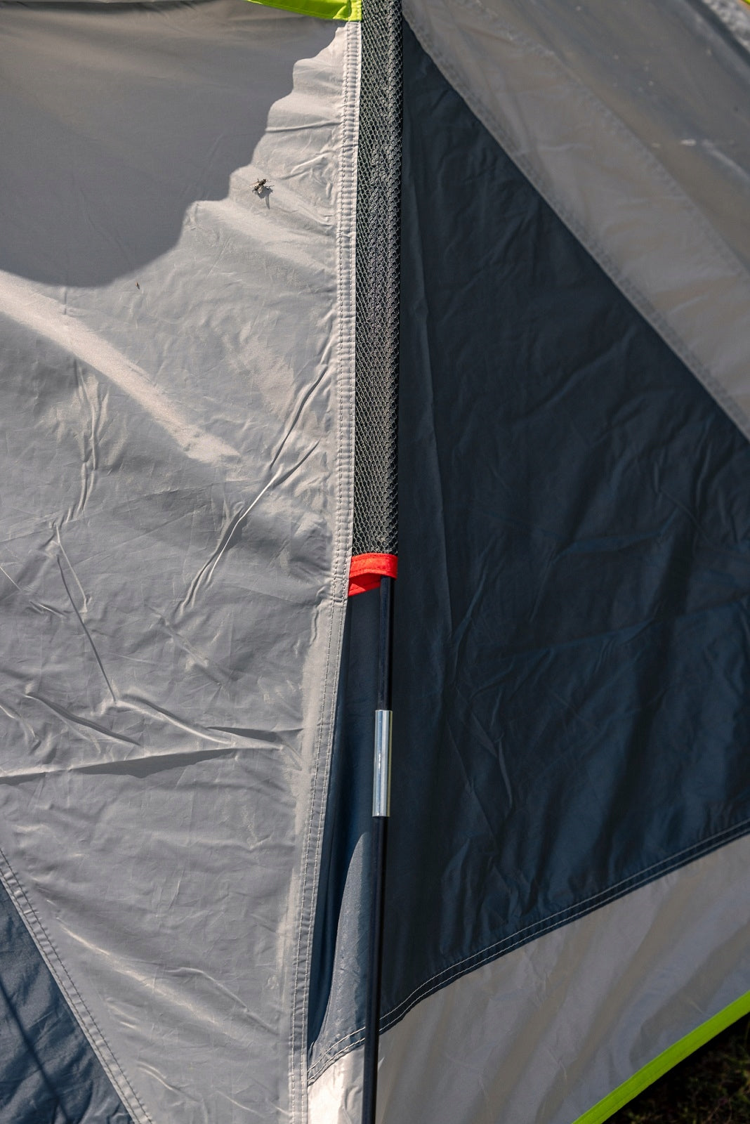 Tourist tent Coleman Darwin 2+ 2 persons Kind travel