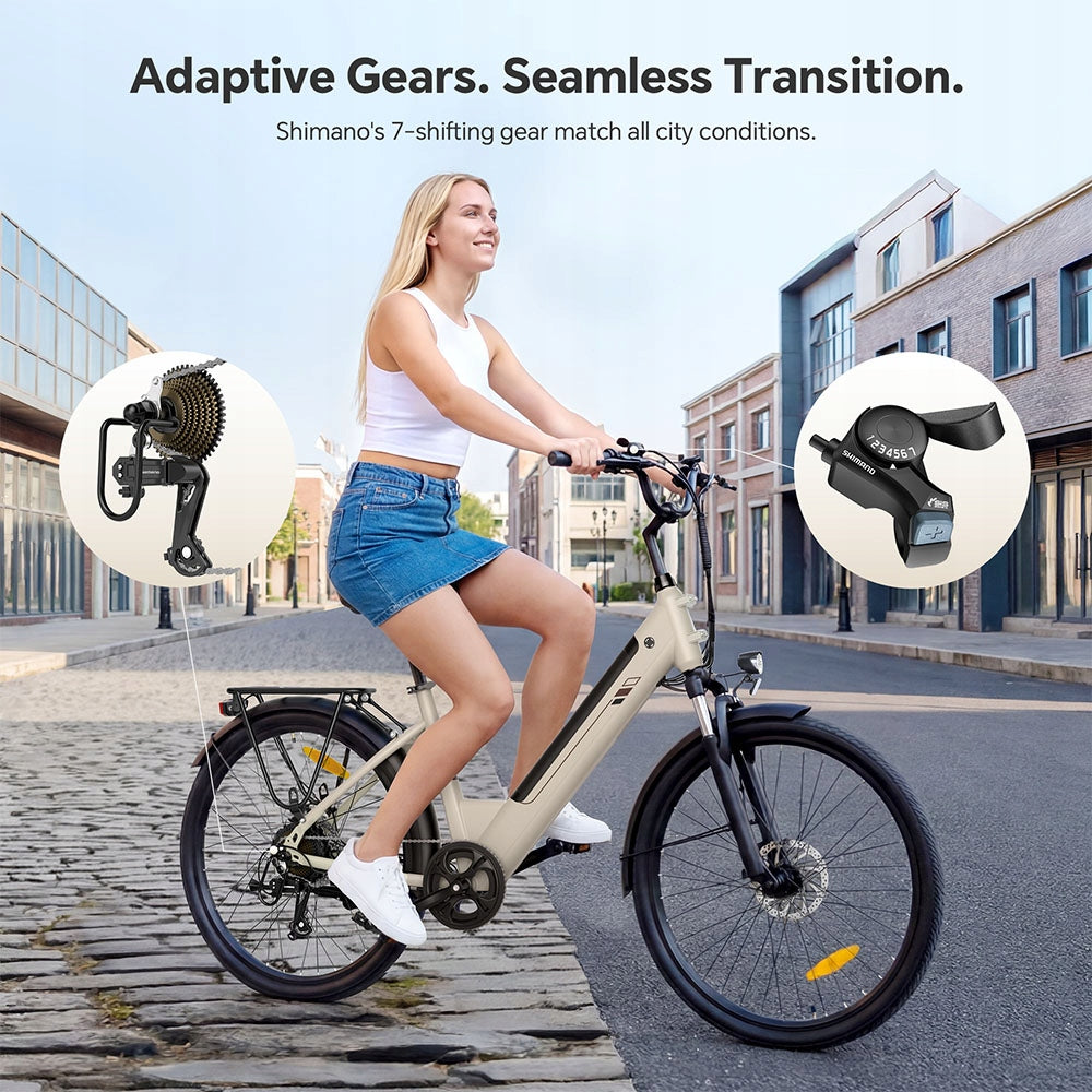 Touroll J2 ST electric bike Grey Step-Thru 26 inches 36 V 15,6 Ah 250W Maximum rated power electric bike (under 250W)