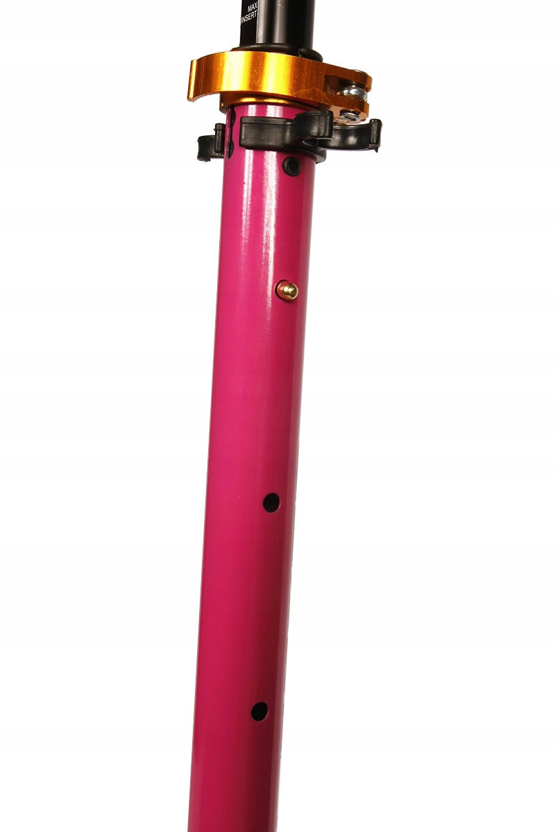 Traditional scooter ENERO Blaster 200/200mm max 100kg Number of wheels 2