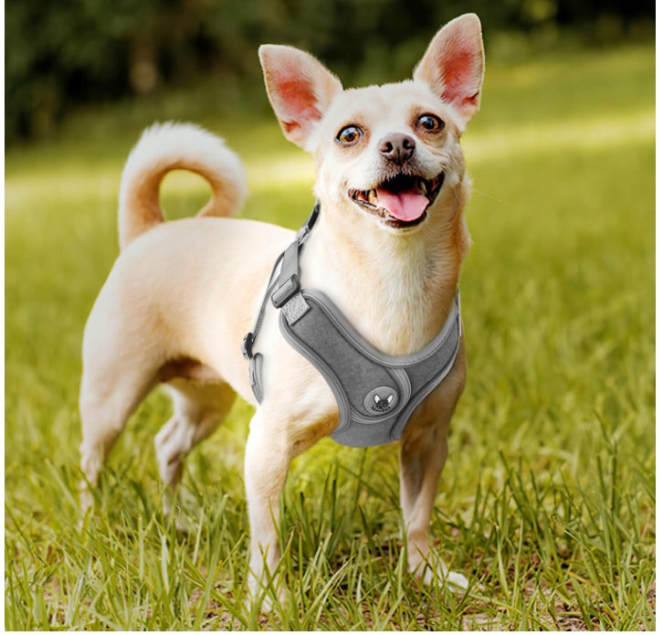 Training harness Lalazoo Elite black M pressure-free waterproof reflective Brand Lalazoo