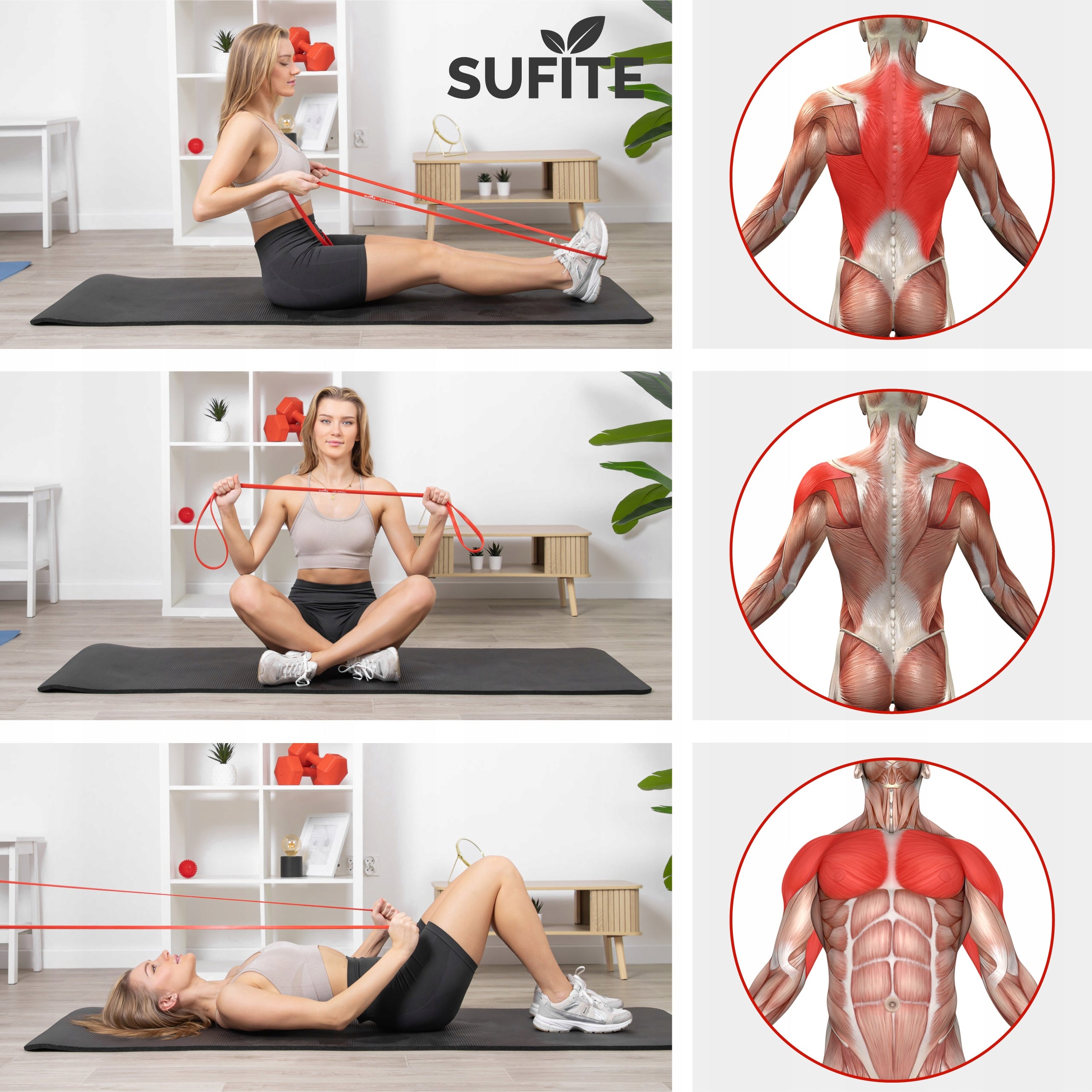 Training rubber SUFITE 208 cm - for shoulder, back and cage exercises 6-10 kg Width 13 mm
