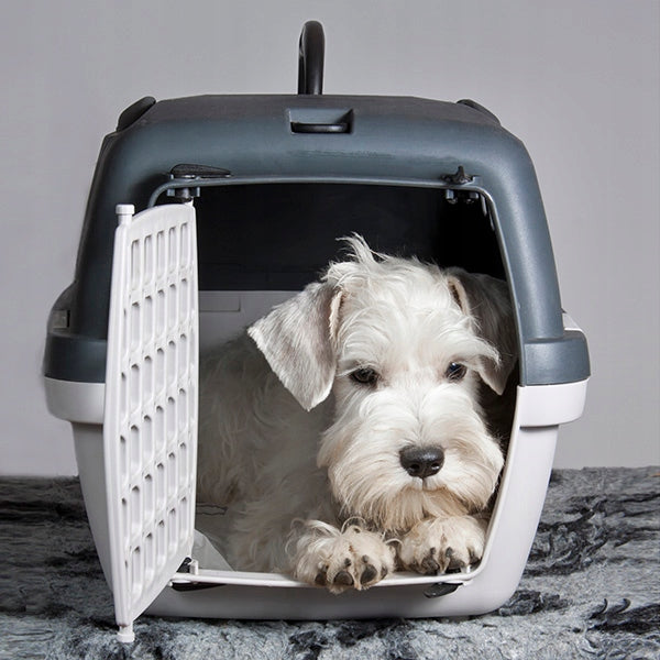 Transport cage GULLIVER 1 48x32x31cm For Cat Dog plastic door Kind carrier