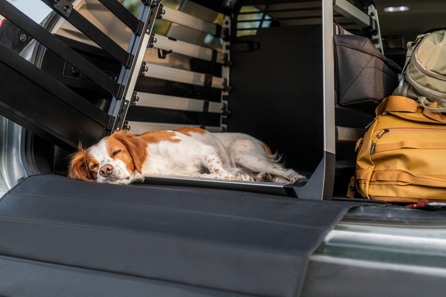 Transport cage for dog Thule Allax S Kind carrier
